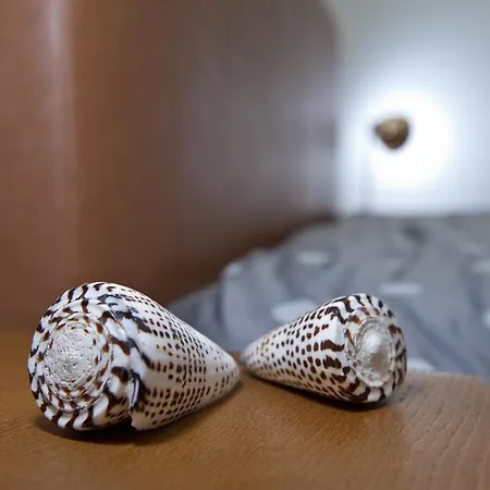 Iris #northsky * سالونيك