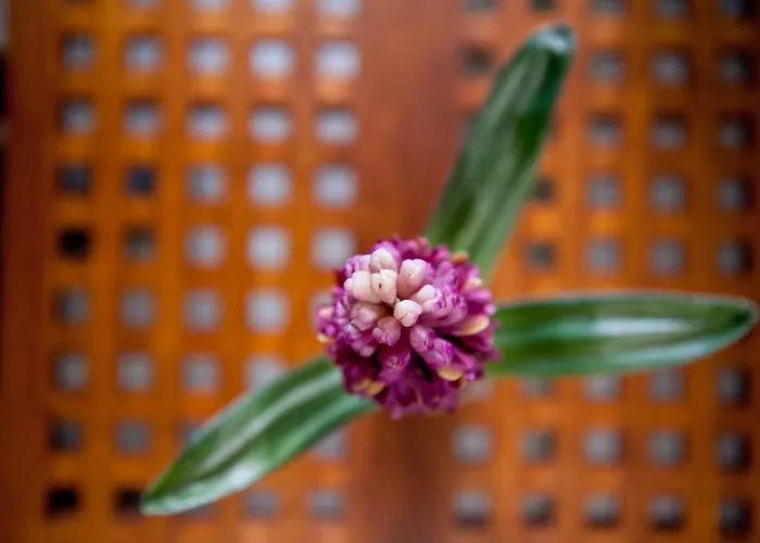 Iris #northsky Appartamento Salonicco