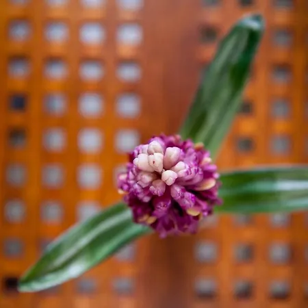 Iris #northsky Apartamento Tesalónica