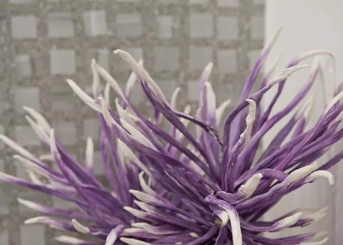 Iris #northsky Appartement *